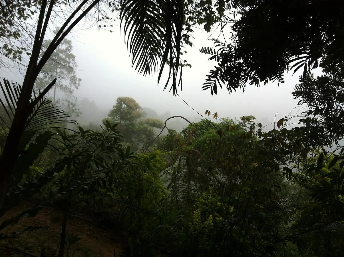 Witherspoon Lodge Kandy